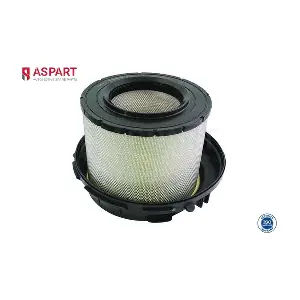 5AFI1008 ASPART