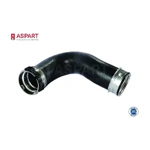 5HOS1384 ASPART