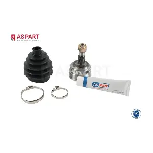1RKI1019 ASPART