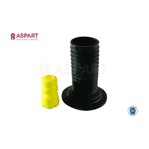 1DPS1006 ASPART