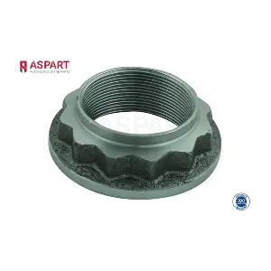 4NUT1002 ASPART