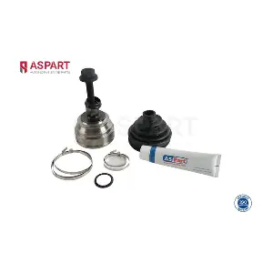 1JKD1069 ASPART