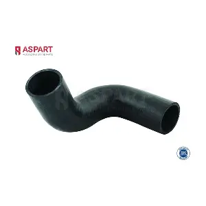 6HOS1243 ASPART