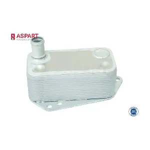 6OCO1143 ASPART