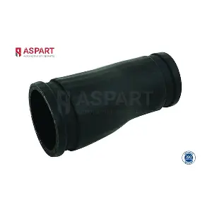 5HOS1290 ASPART