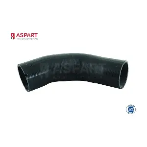 6HOS1269 ASPART