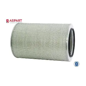 5AFI1002 ASPART