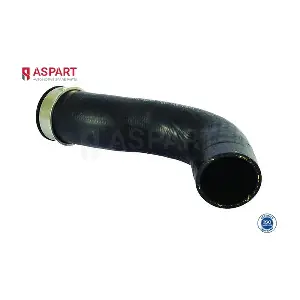 5HOS1319 ASPART