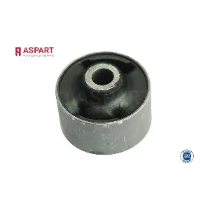 1BUS1107 ASPART