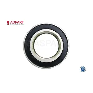 1WBE1029 ASPART