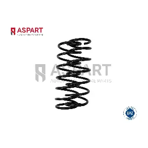 1CSP1051 ASPART