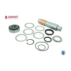 1RKI1047 ASPART