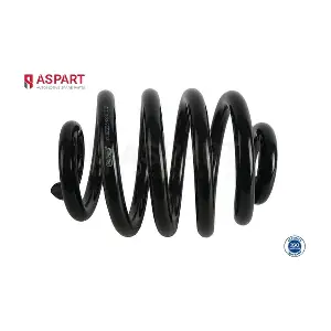 1CSP1193 ASPART