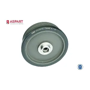 8CBP1021 ASPART