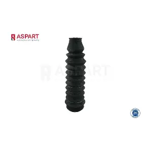 1BST1008 ASPART