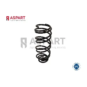 1CSP1054 ASPART