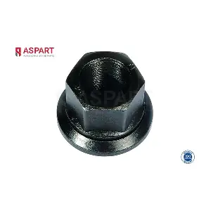 1WPI1033 ASPART