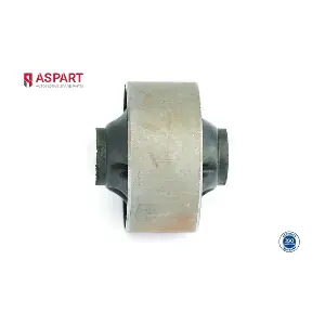 1BUS1106 ASPART