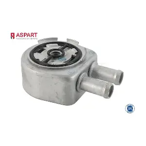 6OCO1138 ASPART