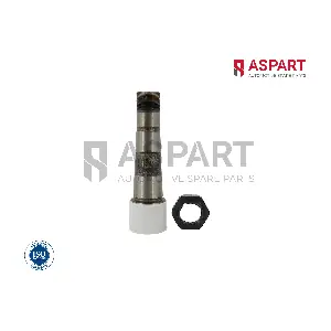 1RKI1039 ASPART