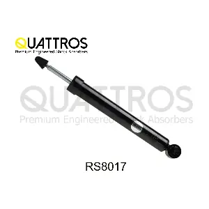 RS8017 DAVID VASCO