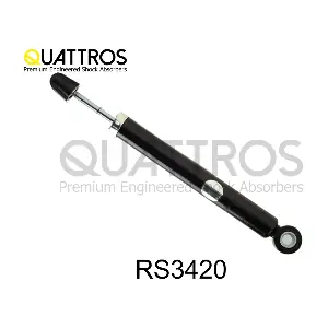 RS3420 DAVID VASCO