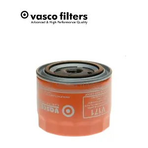 V171 DAVID VASCO