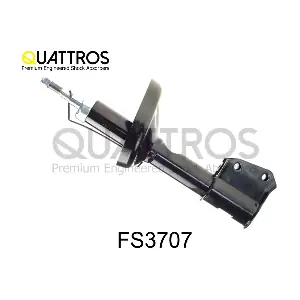 FS3707 DAVID VASCO