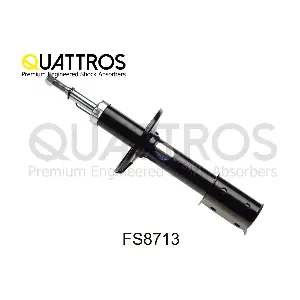 FS8713 DAVID VASCO