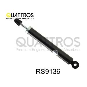RS9136 DAVID VASCO