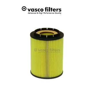V231 DAVID VASCO