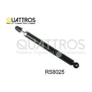 RS8025 DAVID VASCO