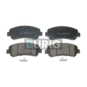 B020560 Burig