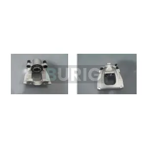 B037302L Burig