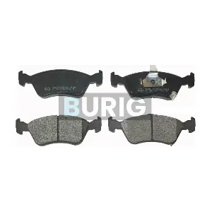 B020487 Burig