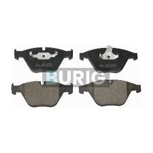 B020205 Burig