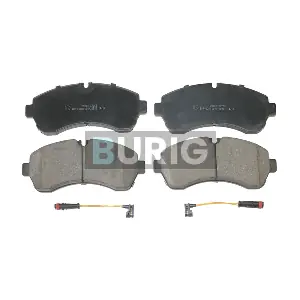 B020456 Burig