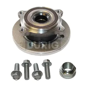 B100010 Burig