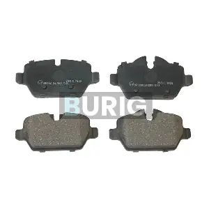 B020437 Burig