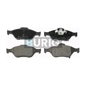 B020070 Burig