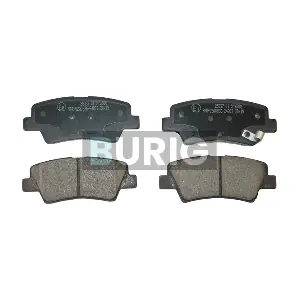 B020157 Burig