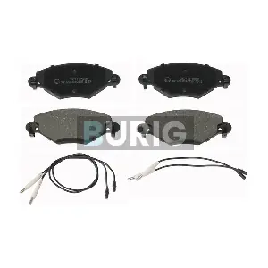 B020261 Burig