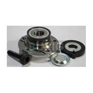 B100144 Burig