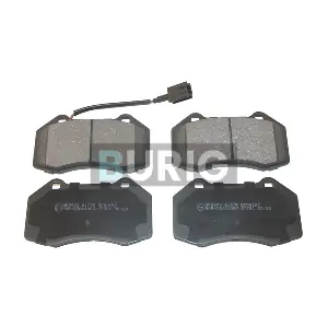 B020629 Burig