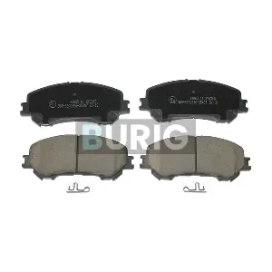 B020234 Burig