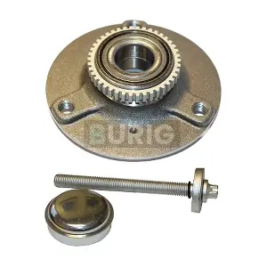 B100059 Burig
