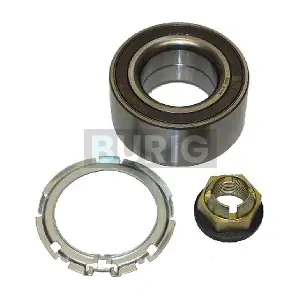 B100076 Burig