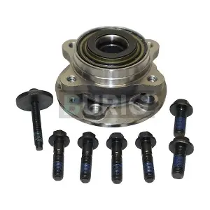 B100208 Burig