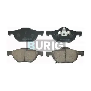 B020264 Burig