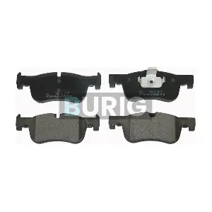 B020085 Burig